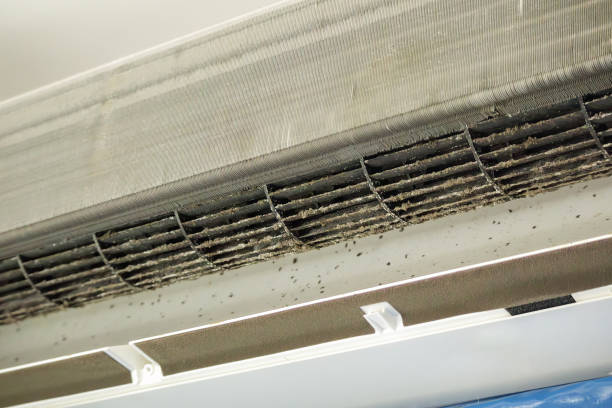 Best Affordable Air Duct Cleaning  in West Union, OH